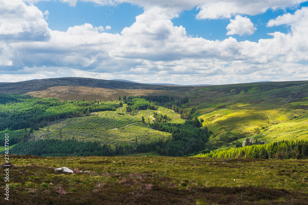 Summer scenery from Dublin Mountains, Ireland, with rolling hills and valleys covered in  blanket bog, heath, upland grassland and pine forests. Irish mountain landscape.