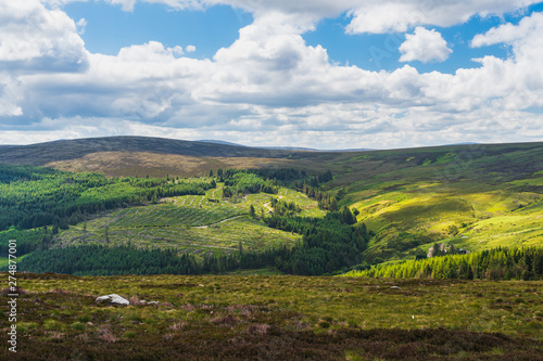 Summer scenery from Dublin Mountains  Ireland  with rolling hills and valleys covered in  blanket bog  heath  upland grassland and pine forests. Irish mountain landscape.