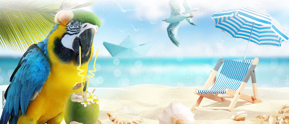 Fototapeta premium Papuga na wakacjach na plaży