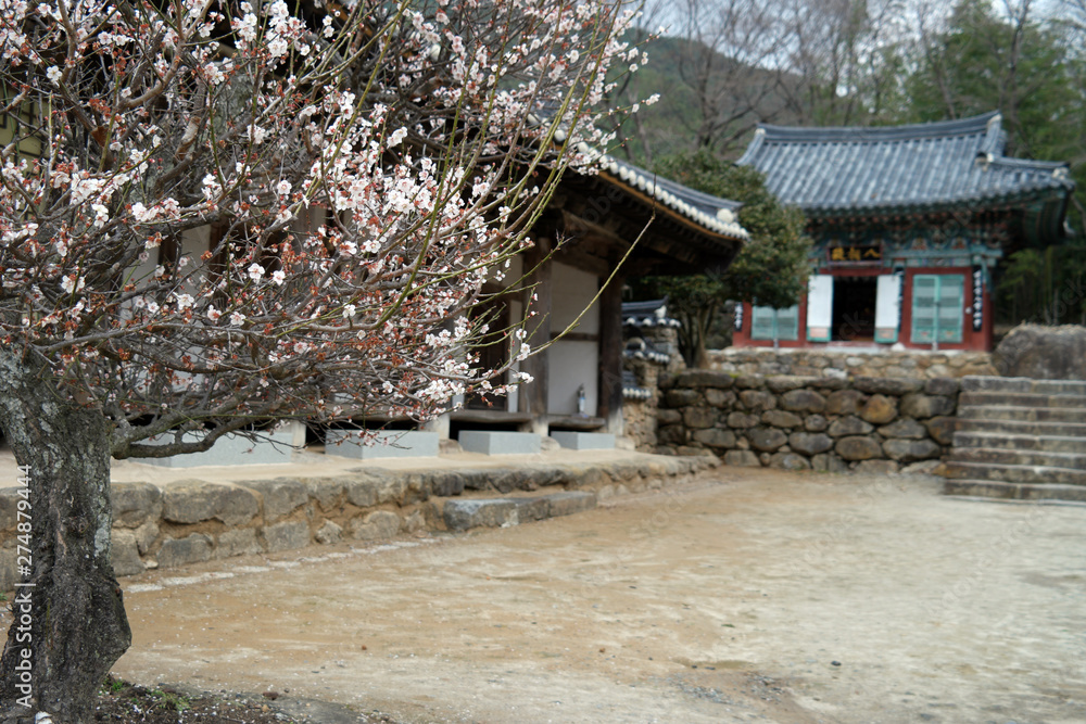 Choneunsa Buddhist Temple, South Korea