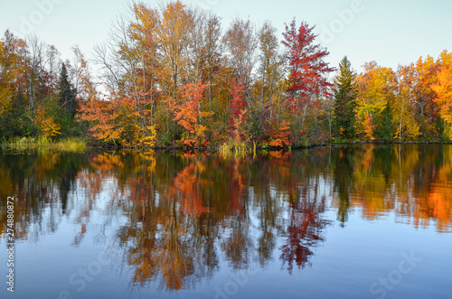 autumn landscape with lake and trees