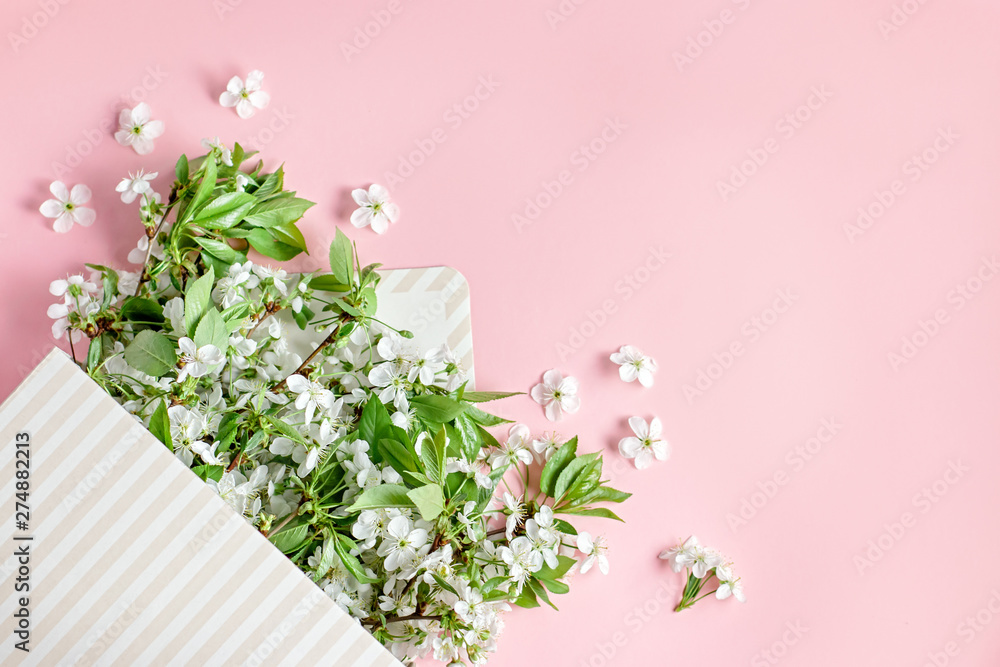 Spring blossom. Cherry flowers in envelope box flat on pastel background. Greeting card with white flowers , copy space