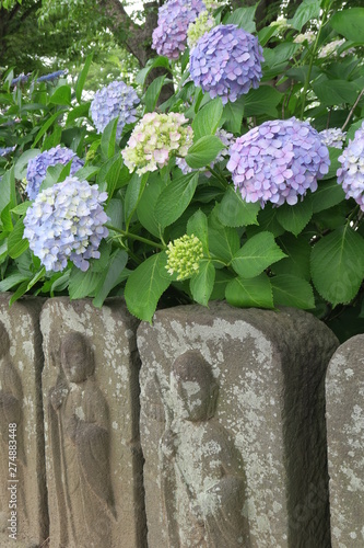 六地蔵と紫陽花咲く風景