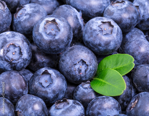 Background from freshly picked blueberries