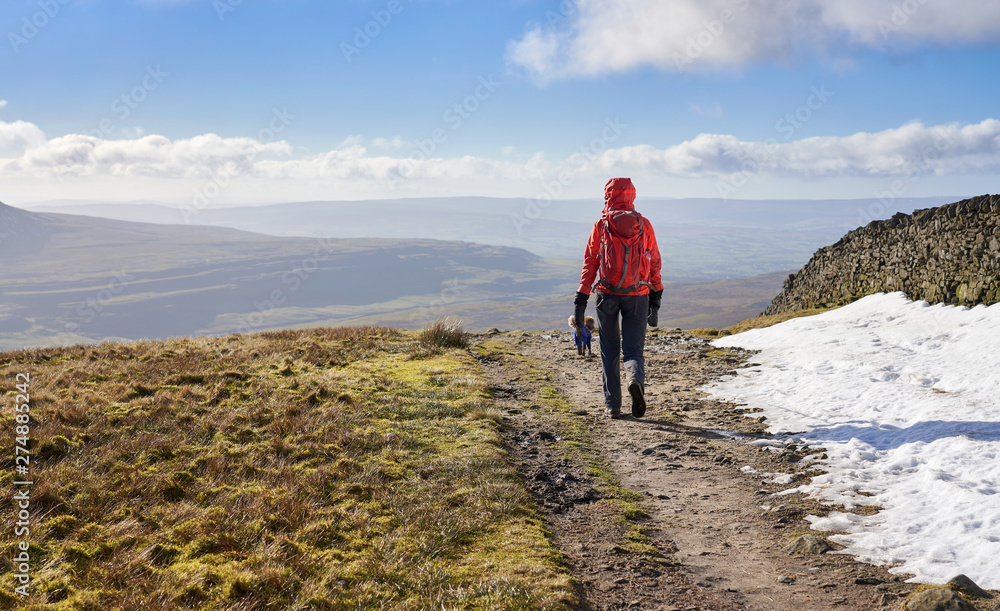 A hiker walking down from the summit of Whernside, part of the Three Peaks in the Yorkshire Dales, England.