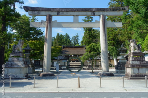 滋賀県、多賀大社の夏越しの祓えの茅の輪の前を横切る猫と鳥居の風景