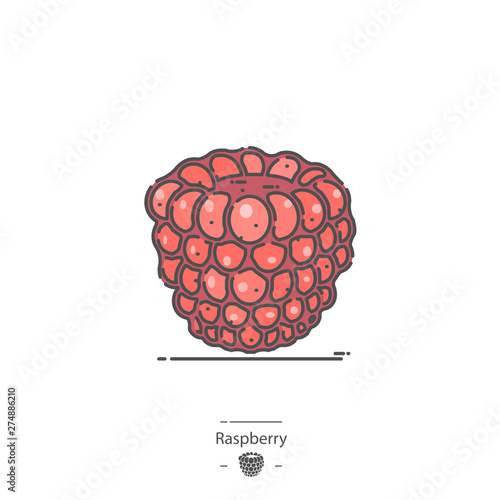 Raspberry - Line color icon