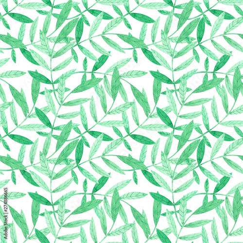 Fototapeta Naklejka Na Ścianę i Meble -  Watercolor seamless pattern with green branches on white background.