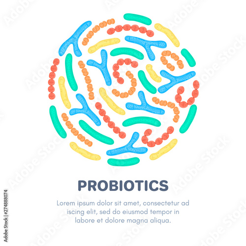 Vector probiotics in circular shape. Bifidobacterium, lactobacillus, streptococcus thermophilus, lactococcus, propionibacterium. Brochure, label, cover, poster, package, advertising, presentation