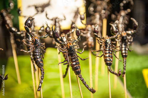 Scorpion on a stick at the street market - kind of Asian delicacy, Chiang Mai, Thailand. Grilled scorpion street food, night market in chiangmai. Nprthern Thailand.