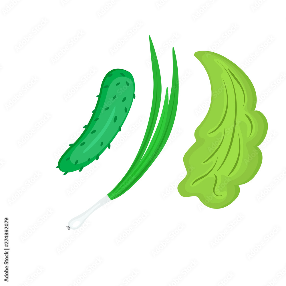 Obraz premium cucumber, green onion, lettuce isolated on white background
