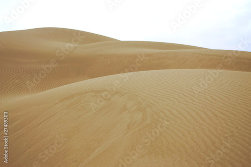 dunes in the desert