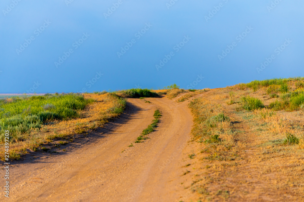 Rural dirt road landscape in steppe or desert.