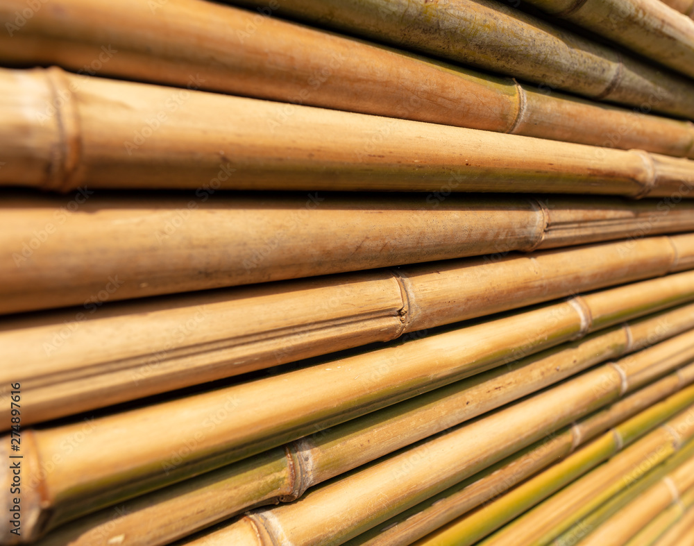 Bamboo twig wall as abstract background Bamboo twig wall as abstract background