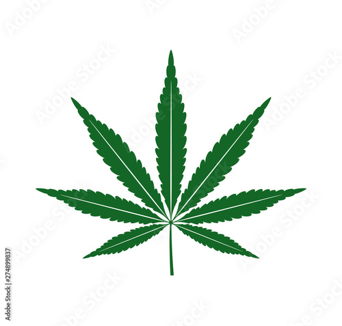 Cannabis marijuana hemp logo. Isolated hemp on white background