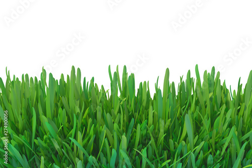 Green grass nature. plants lawn. 3d rendering natural background.