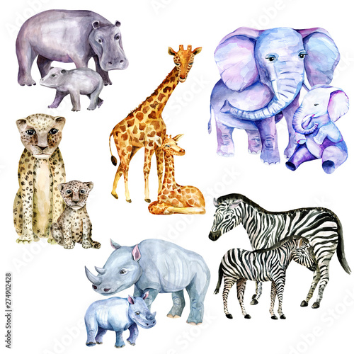 Fototapeta Naklejka Na Ścianę i Meble -  Wild animal pattern with savanna, zoo, mother and baby. watercolor. African animals for children's textiles and design. Children's bright summer collection of backgrounds with animals. stock graphics