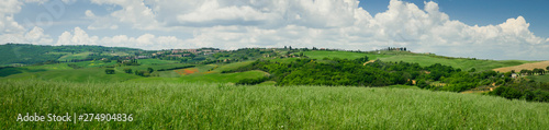 Panorama of Tuscan field near Siena in summer