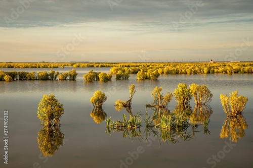 Canvas Print Landscape in sunset at the Marker Wadden, the manmade Dutch artificial archipelago in development where wild birds reign