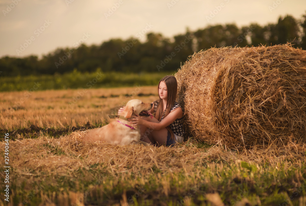 beautiful, young girl in denim shorts and a plaid shirt with a Retriever and a guitar posing against a wheat field, haystacks and summer sunset sky beautiful, young girl in denim shorts and a plaid shirt with a Retriever and a guitar posing against a wheat field, haystacks and summer sunset sky