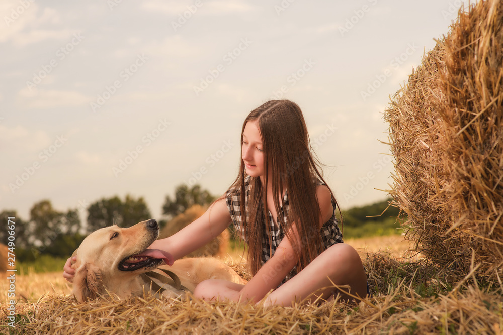 beautiful, young girl in denim shorts and a plaid shirt with a Retriever and a guitar posing against a wheat field, haystacks and summer sunset sky beautiful, young girl in denim shorts and a plaid shirt with a Retriever and a guitar posing against a wheat field, haystacks and summer sunset sky