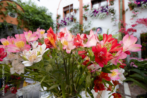 Flower decoration of patios in Cordoba, Andalusia, Spain - Patio Fest © Lyudmyla