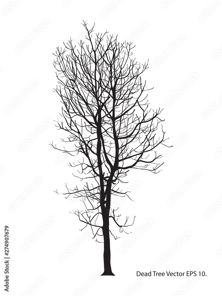 Obraz premium Dead Tree without Leaves Vector Illustration Sketched, EPS 10.