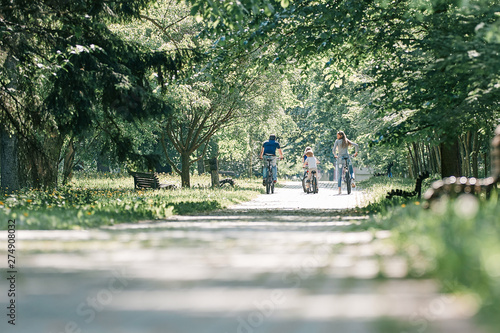 cyclists on the road in the Park on a summer day