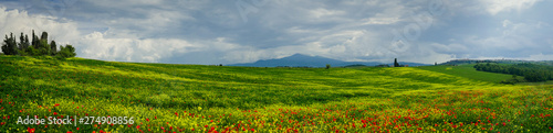 Panorama of Tuscan field near Siena in summer