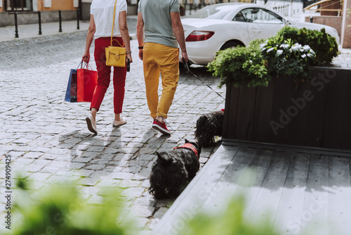 Husband and wife with their dogs walking along the street