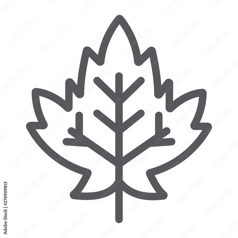 Maple leaf line icon, foliage and nature, autumn leaf sign, vector graphics, a linear pattern on a white background. Maple leaf line icon, foliage and nature, autumn leaf sign, vector graphics, a linear pattern on a white background.