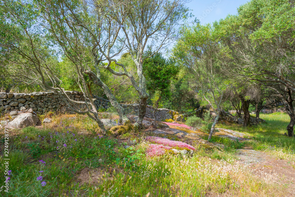 Scenic landscape of green hills and rocky mountains of the island of Sardinia in spring Scenic landscape of green hills and rocky mountains of the island of Sardinia in spring