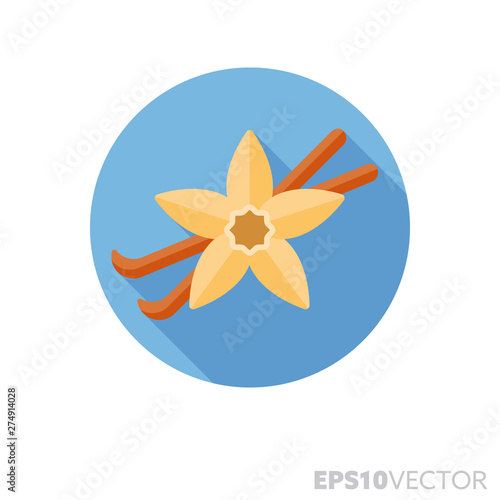 vanilla blossom and pods flat design long shadow color vector icon