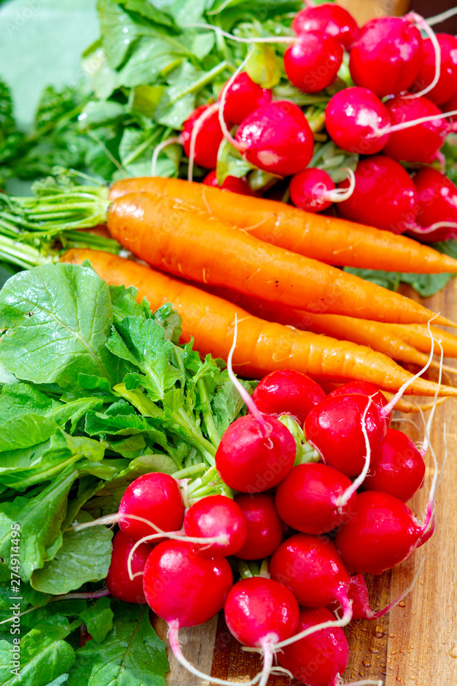 Bunches of fresh red radish and carrots, new harvest of healthy vegetables Bunches of fresh red radish and carrots, new harvest of healthy vegetables