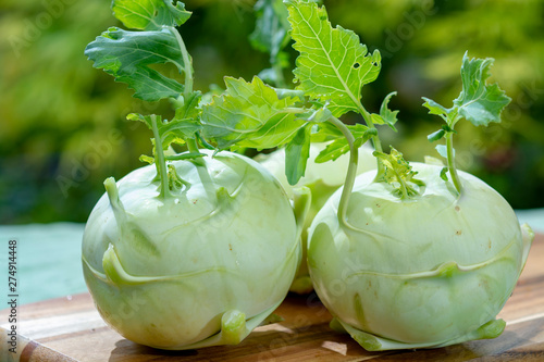 Fresh ripe bio white cabbage kohlrabi from organic farm, close up photo