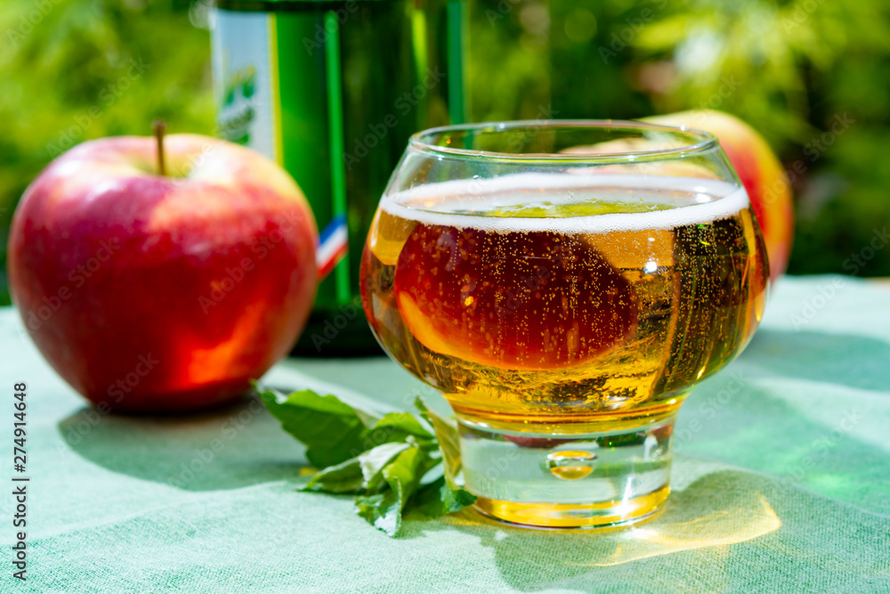 Glass with fresh cold French apple cider drink served with apples in green garden Glass with fresh cold French apple cider drink served with apples in green garden