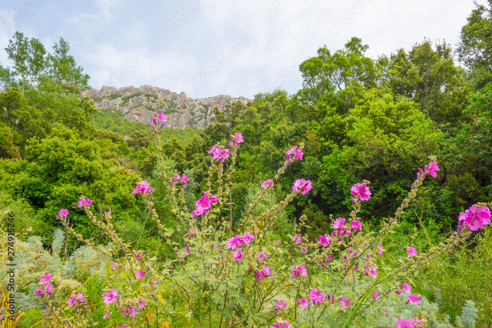 Scenic landscape of green hills and rocky mountains of the island of Sardinia in spring Scenic landscape of green hills and rocky mountains of the island of Sardinia in spring