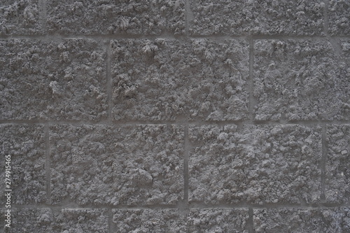 Wallpaper Mural rough brick wall texture, gray color, background Torontodigital.ca