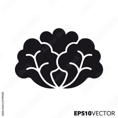 Lettuce vegetable vector glyph icon
