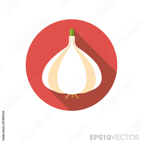 garlic bulb flat design long shadow color vector icon