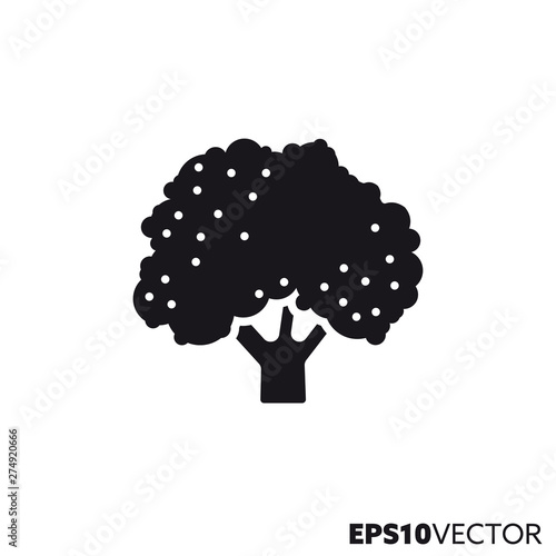 Broccoli or cauliflower vector glyph icon