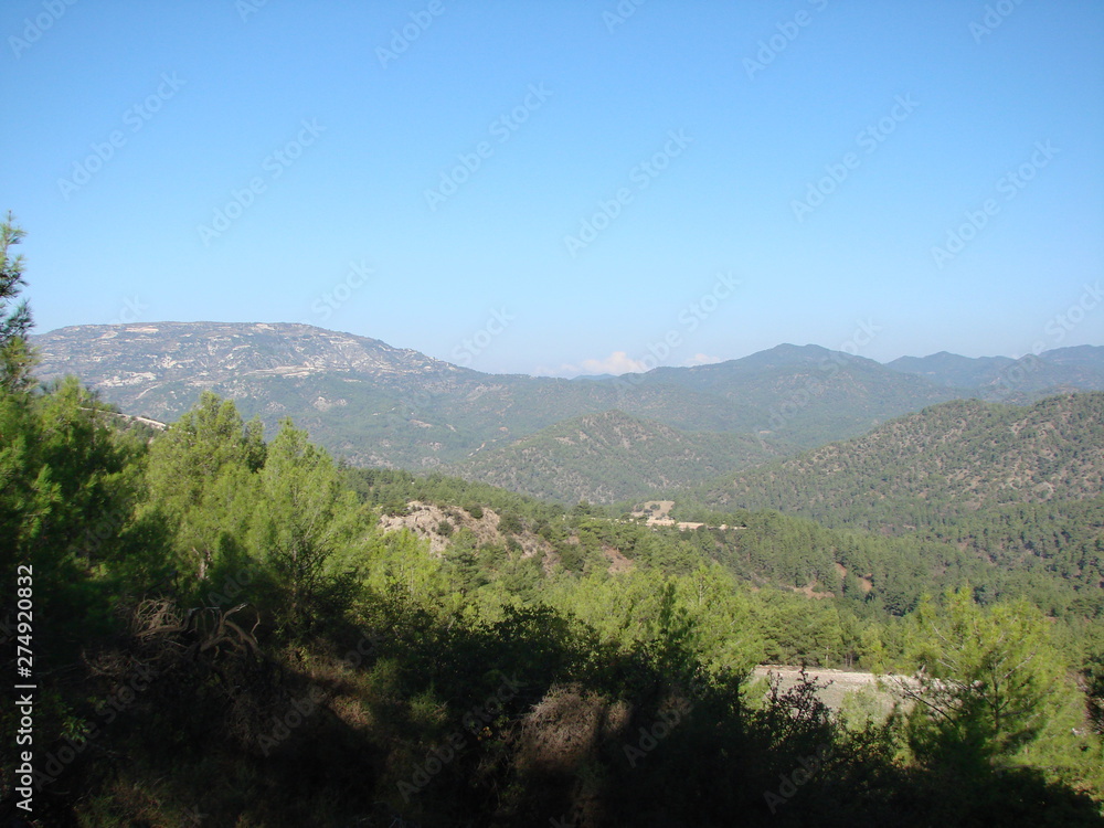 A view from the shadow of a dense mountain forest on sunlit spots of the tops of trees on the background of sky blue and mountain ridges on the horizon.