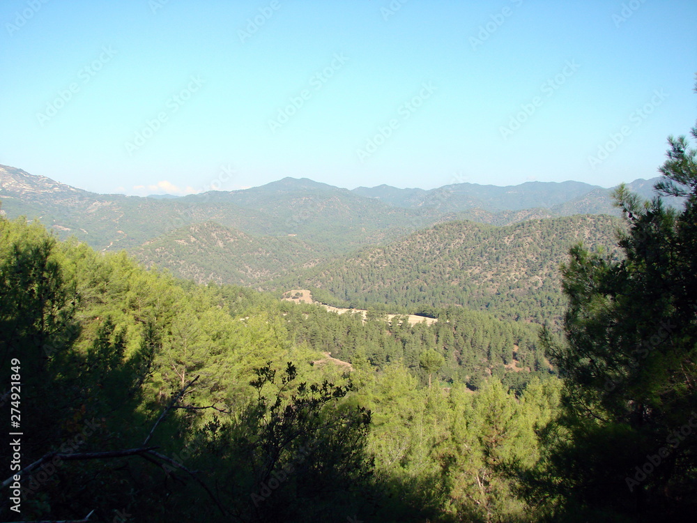 A view from the shadow of a dense mountain forest on sunlit spots of the tops of trees on the background of sky blue and mountain ridges on the horizon.