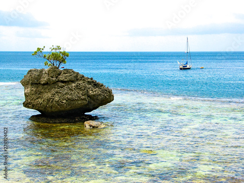 A tree on a rock and a small sailing boat anchored, seaview from Christmas Island, Indian Ocean, Australia territory.