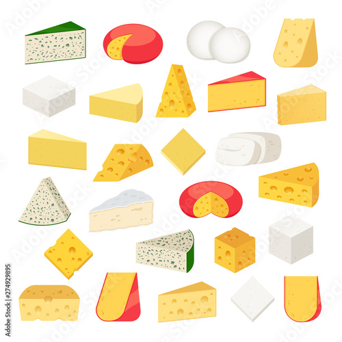 Vector different types of cheese detailed icons photo