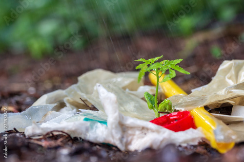 Plastic waste and Water Bottle cap on Ground  withTree seedlings and raining. photo