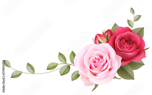 Decorative ornament with vintage roses on the corner of page. Floral background. Vector illustration. Realistic pink flowers isolated on white