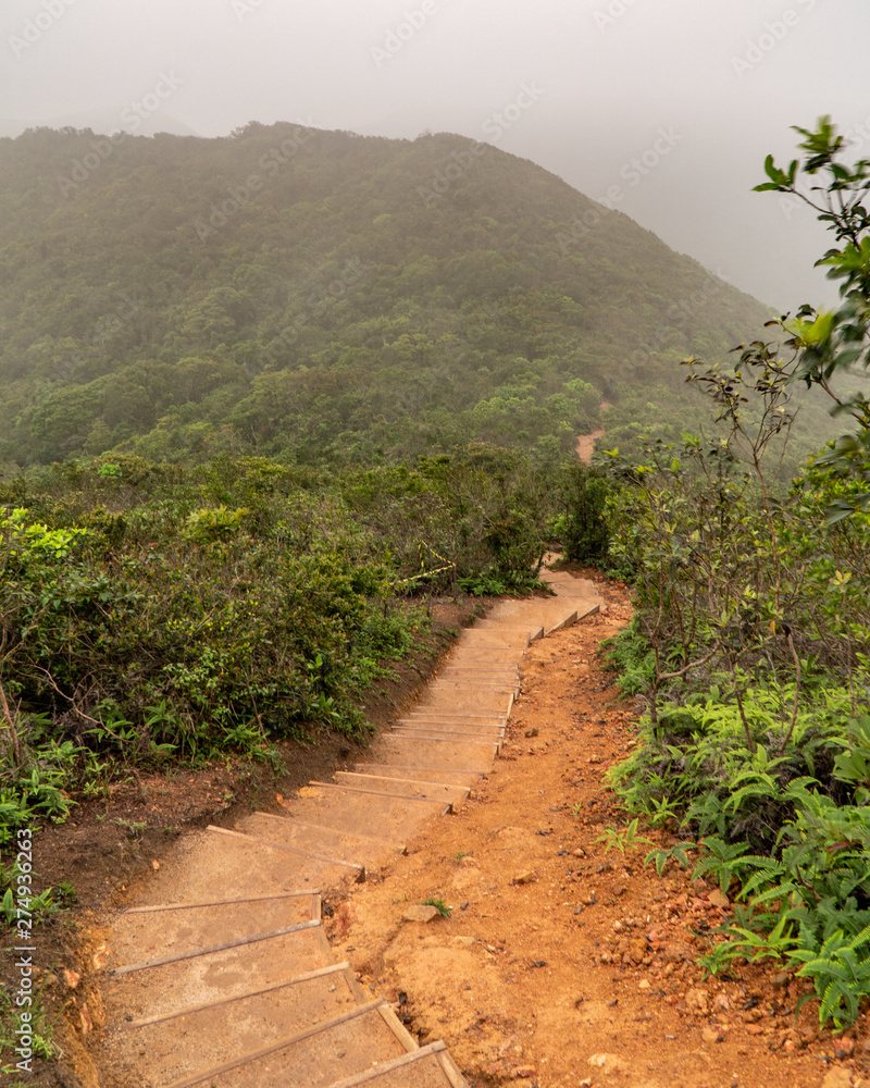 Dragons Back Trail in Hong Kong