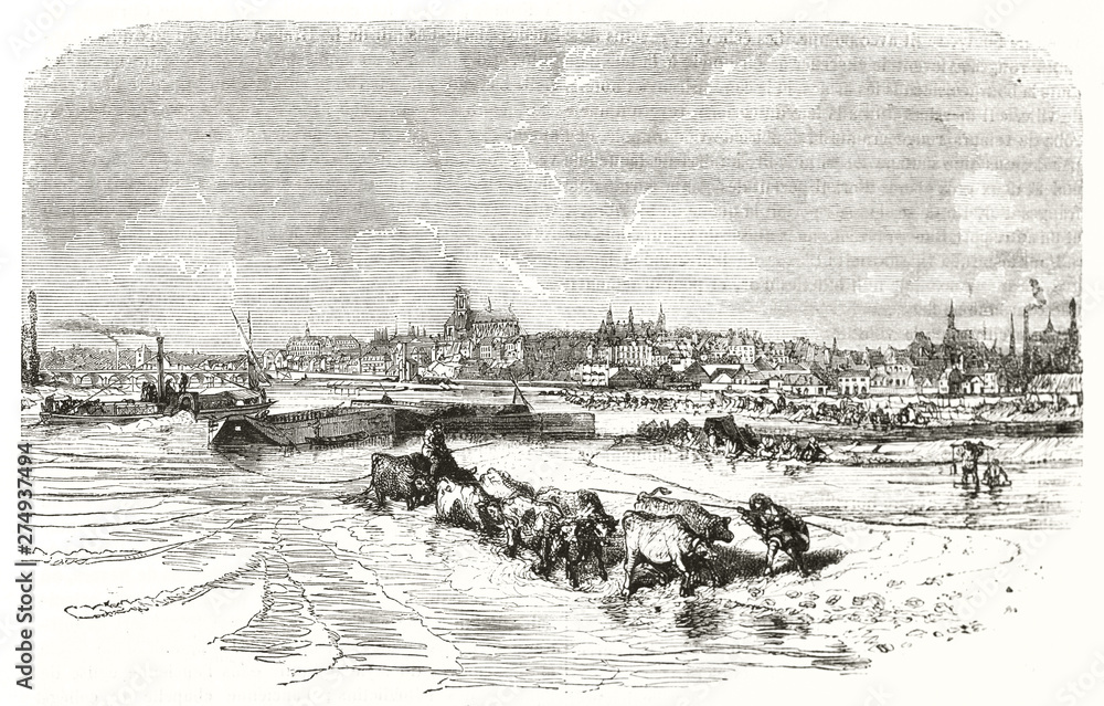 Ancient cityscape context, view on the shoreline with the city on background. Sheperds leading cows over the low water. Old view of Nevers France. By Bonhomm� publ. on Magasin Pittoresque Paris 1848 Ancient cityscape context, view on the shoreline with the city on background. Sheperds leading cows over the low water. Old view of Nevers France. By Bonhomm� publ. on Magasin Pittoresque Paris 1848