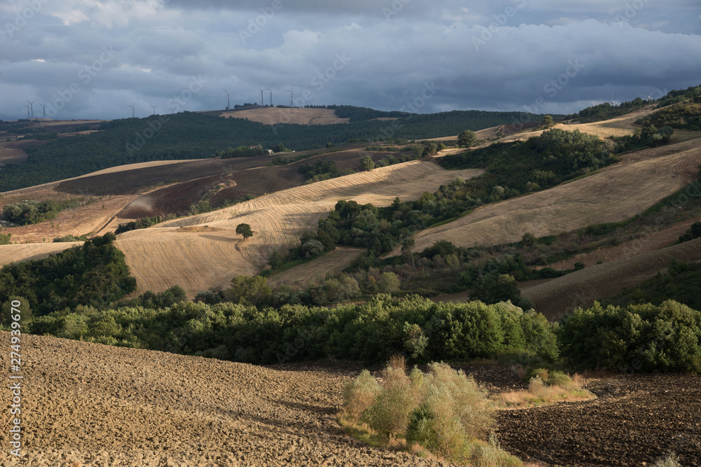 Fototapeta premium paesaggio